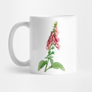 Common foxglove - Botanical Illustration Mug